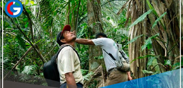 Fortalecerán estándares sobre defensores ambientales y recursos naturales 