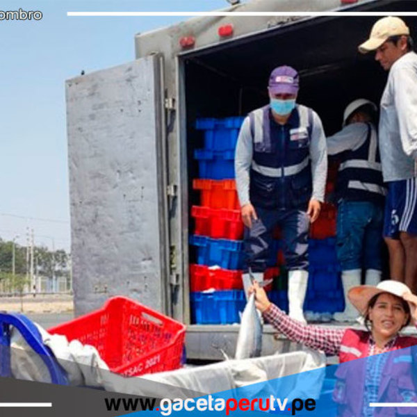 Buenas Noticias: Donan más de 6 toneladas de bonito y merluza en Lambayeque