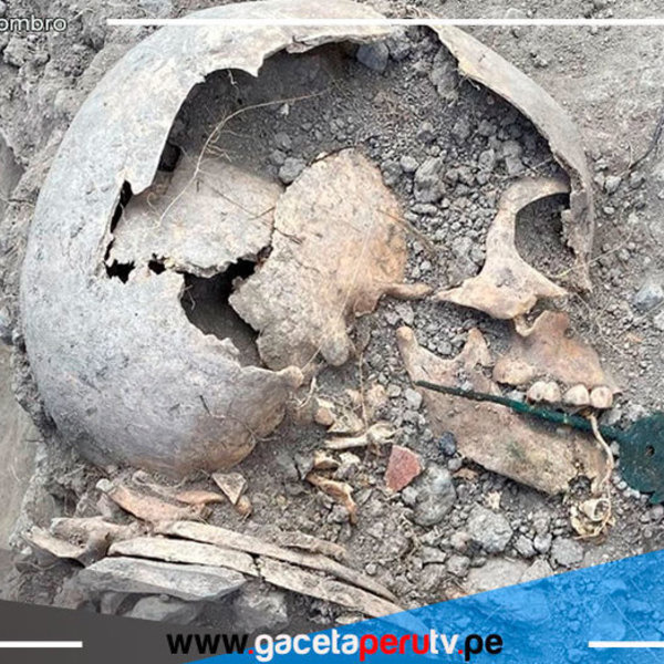 Cajamarca: Descubren restos óseos de infantes en Santa Apolonia