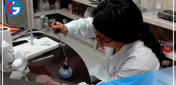 Trujillo: Investigadores aíslan levaduras con potencial para producir biodiésel