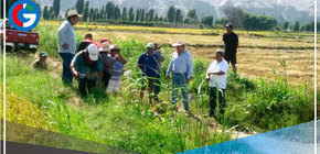 Producción de principales cultivos cubrió la demanda de alimentos en el país
