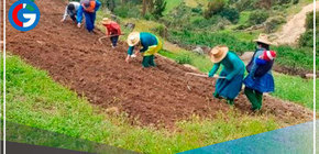 Ejecutivo impulsará shock de inversiones en el agro 