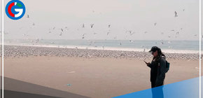 Ventanilla: estudio revela que desapareció contaminación en el litoral