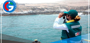 Repsol continúan con fiscalización y control de la fauna silvestre