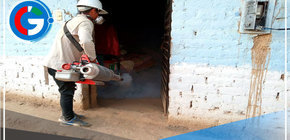 Más de 40 casos autóctonos de dengue se ha detectado, solo en enero