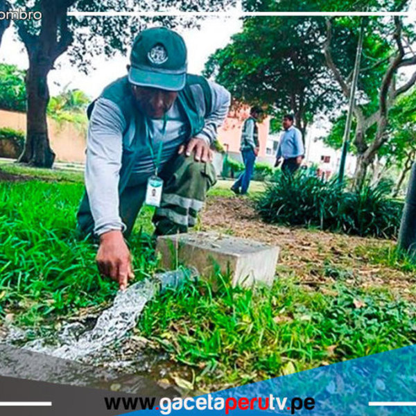San Isidro: Retoman riego tecnificado en 31 parques y plazas