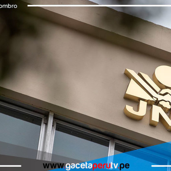 Hoy martes 31 de enero vencerá plazo para que partidos presente precandidaturas