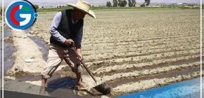 Retoman proyecto para riego de cultivos en Lambayeque