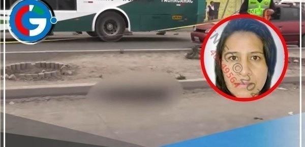 VMT: Mujer y su perro mueren tras ser atropellados