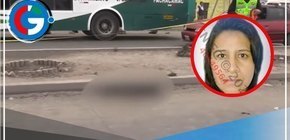 VMT: Mujer y su perro mueren tras ser atropellados