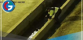 Serenos salvan de morir a perros que cayeron a una acequia de Chorrillos