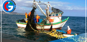 Ministerio de la Producción retrasa Reglamento de Ley de pesca artesanal