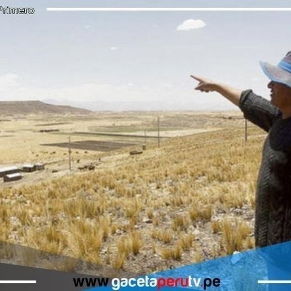 Puno: Escasez de quinua amenaza a mercados por falta de agua