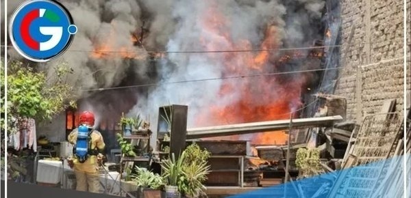 Un hombre de 56 años y sus nueve perritos mueren en incendio