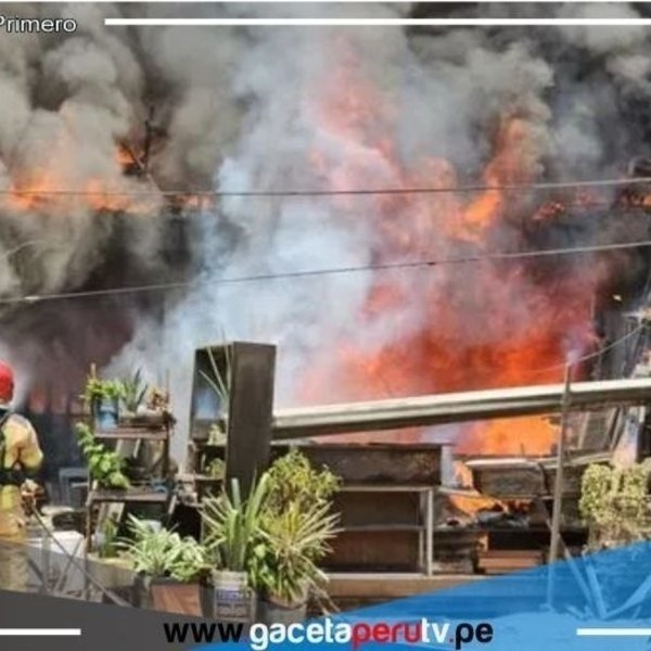 Un hombre de 56 años y sus nueve perritos mueren en incendio