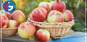 INACAL brinda requisitos para impulsar el consumo y comercialización de manzanas de calidad 