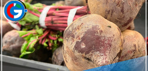 La población en Arequipa está ingiriendo vegetales afectados por la presencia de agroquímicos