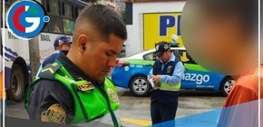 Miraflores aplicó multas por incumplir normas de tenencia responsable de mascotas