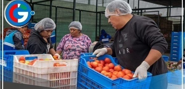 Mas de mil toneladas de alimentos destinados a las ollas comunes 