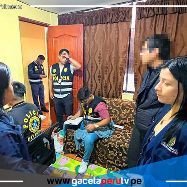 Lima: Allanan viviendas en 5 zonas por delito de pornografía infantil 