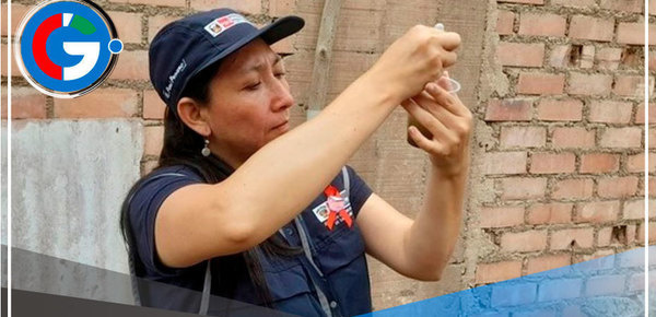 Intervendrán 300,000 viviendas de 13 distritos con acciones de control contra el dengue