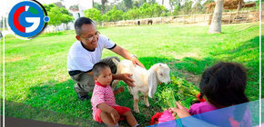 ¿Quiénes pueden descansar hasta el martes 2 de enero y por qué? 