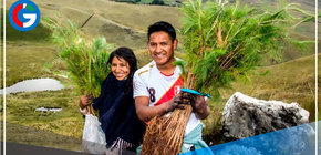 Cajamarca plantará un millón de árboles