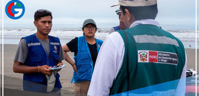 Serfor pide evitar manipular lobos de mar varados en playas de Asia