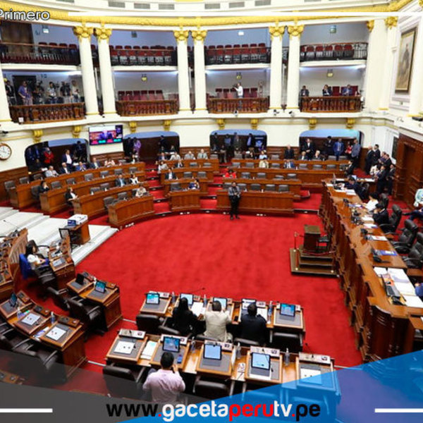 Rechazaron propuesta de Perú Libre para adelantar elecciones 