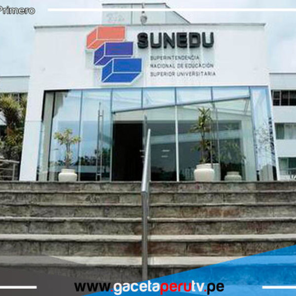Eligen a un nuevo jefe de la Sunedu en medio de serios cuestionamientos