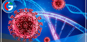 EEUU señala cuál fue el origen del COVID en China