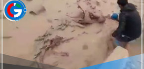 Ciudadano salva de morir cuando era arrastrado por huaico en Camaná 