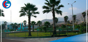 Arequipa fue sacudida esta madrugada por temblor de magnitud 4.7 pero no fue percibido