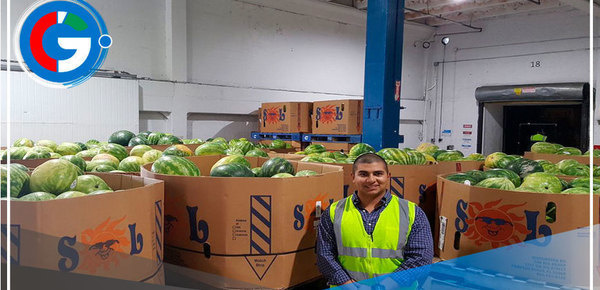 Agroexportaciones sumaron US$ 921 millones en enero