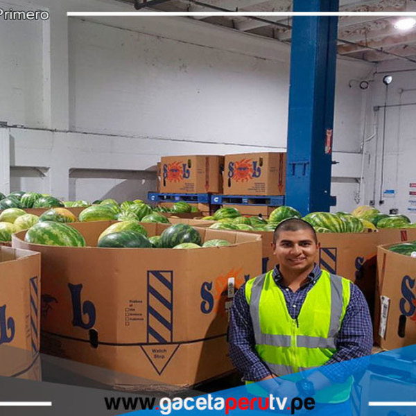 Agroexportaciones sumaron US$ 921 millones en enero