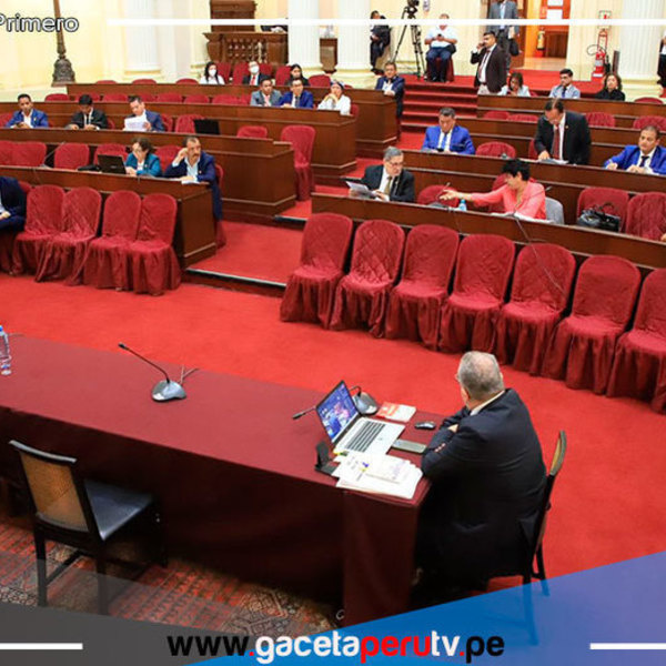 Aprobaron informe que recomienda denunciar a 4 de los 6 sindicados como 'Los Niños'