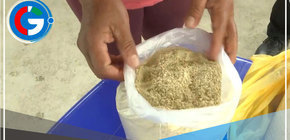 Municipalidad de Pacora entrega comida para animales a pobladores damnificados tras fuertes lluvias