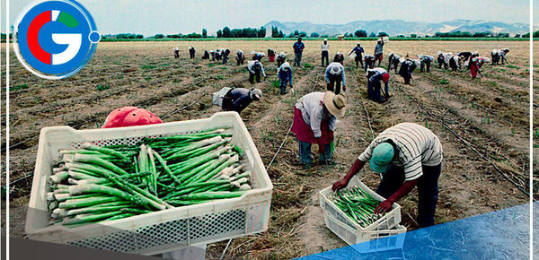 Prometen acelerar la entrega de seguro catastrófico para la siguiente campaña agrícola 
