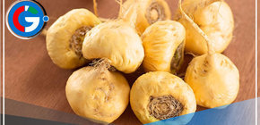 ¿Con la maca se mejora el deseo sexual y la fertilidad?