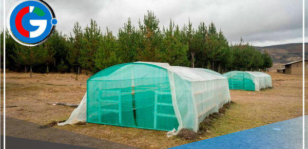 Logra récord en Europa el emprendimiento liderado por mujeres 