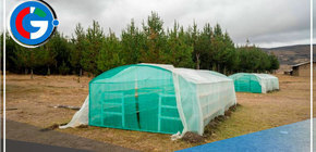 Logra récord en Europa el emprendimiento liderado por mujeres 