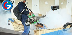 Reportan más de 451 casos de dengue en las distintas provincias de Cajamarca 