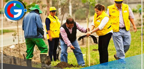 Se plantará 1,000 árboles por Dia de la Tierra