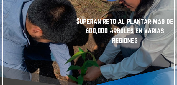 Superan reto al plantar más de 600,000 árboles en varias regiones