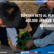 Superan reto al plantar más de 600,000 árboles en varias regiones