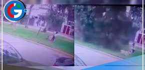 Salvados de morir pareja con su mascota por el derrumbe de un árbol en San Borja