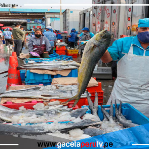 Largas colas de 2 horas en terminal Pesquero del Callao