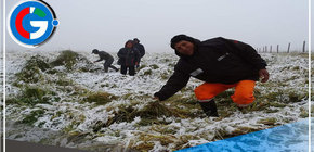 Cusco: Mas de S/7 millones en pérdidas de cultivos por nieve y alza de precios en productos agrícolas