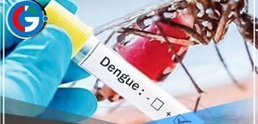 El dolor de cabeza es un principal síntoma del dengue 