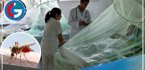 Ministra de Salud declaró que tienen todo controlado con respecto al dengue